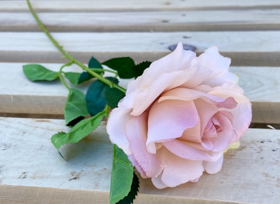 Piękna róża w rożku zamiast kwiatów
