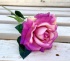 Piękna róża w rożku zamiast kwiatów